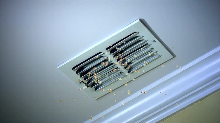 Best Commercial Air Duct Cleaning  in Montrose Ghent, OH